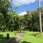 green grass surrounding pathway at Yayasan Bali Purnati