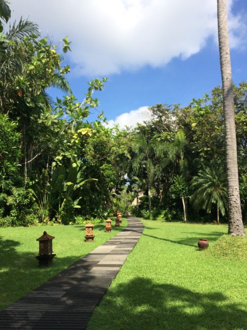 green grass surrounding pathway at Yayasan Bali Purnati