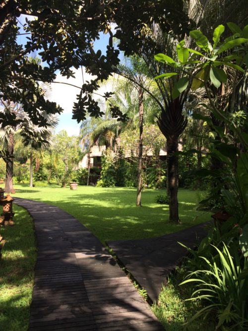 pathway at Yayasan Bali Purnati