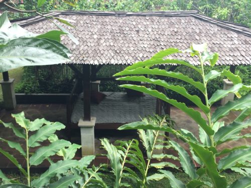 exterior roof and daybed at Bali Purnati