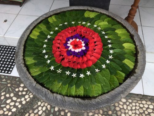 flowers and leaves arranged in water