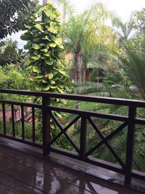 exterior patio view of trees at Bali Purnati