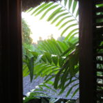 view of greenery outside desk window