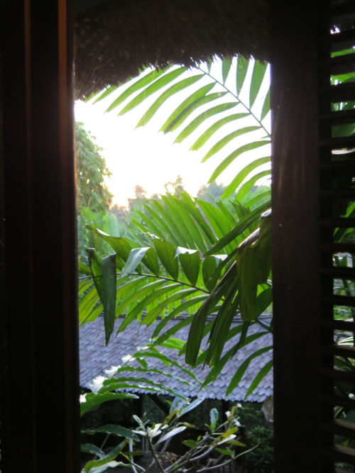 view of greenery outside desk window